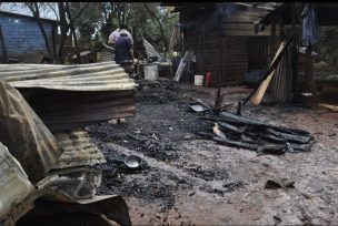 Campo Viera: El Refugio incendiado requiere ayuda urgente para seguir conteniendo mascotas abandonadas