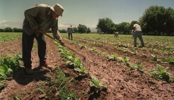 CAME: “Se prorroga la compatibilidad de planes sociales para un sector vulnerable de la economía”