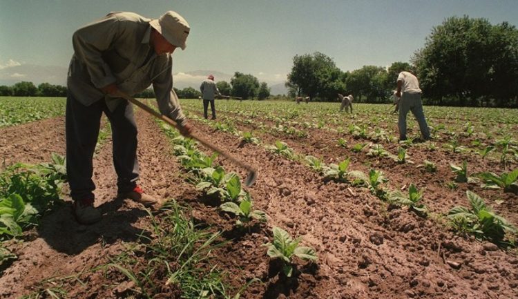 CAME: “Se prorroga la compatibilidad de planes sociales para un sector vulnerable de la economía”