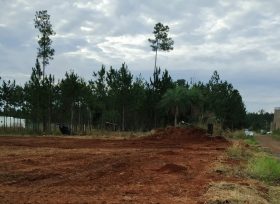Invadieron terrenos privados en Candelaria, los dueños encontraron máquinas y que estaban limpiando las tierras