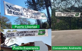 Municipios del norte de Misiones se suman a la campaña “Yaguá la Caza” para decir basta a la cacería en la provincia