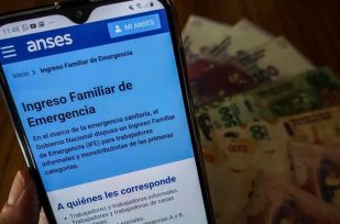 ANSES: ¿Cómo anotarse en el “nuevo IFE”?