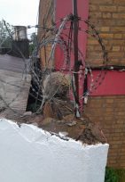 Efectivos policiales rescataron un erizo y lo devolvieron a su hábitat natural