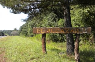 El ALCÁZAR: Una mujer fue detenida por someter a su hija a una violencia extrema