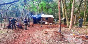 Desmantelaron un campamento donde realizaban apeo ilegal en San Pedro, hay tres detenidos