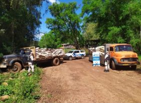 El Soberbio: Incautaron más de quince toneladas de soja