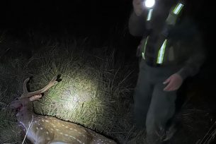 Cazador furtivo se ocultaba en la banquina con sus presas y armamento