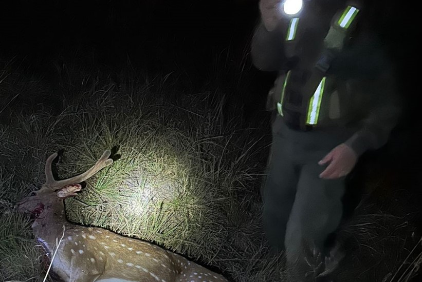 Cazador furtivo se ocultaba en la banquina con sus presas y armamento