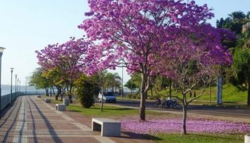 Se espera un fin de semana primaveral en Misiones