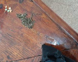 Un joven intentó ingresar droga a una Comisaría en una prenda de vestir