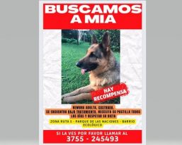 La Policía se suma a la búsqueda de «MIA»