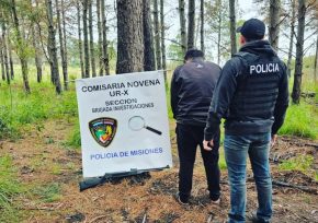 Arrestaron a un hombre por matar a un mono Carayá