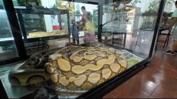 El serpentario, otro atractivo en el Parque de las Naciones