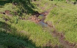 Identifican a la mujer que fue hallada sin vida ayer en un arroyo de Cerro Corá