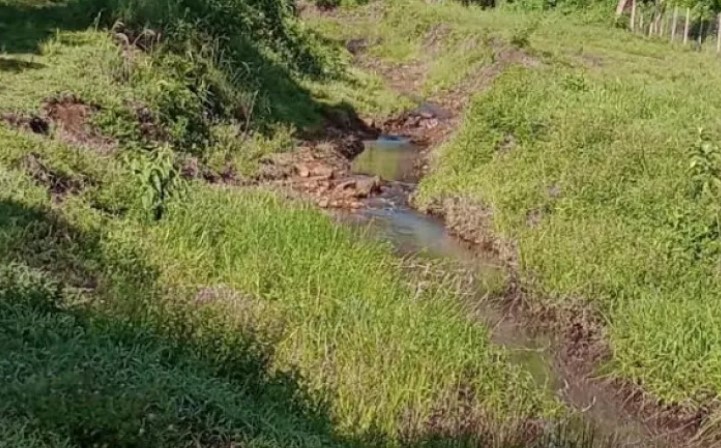 Identifican a la mujer que fue hallada sin vida ayer en un arroyo de Cerro Corá