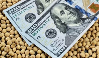 El Gobierno Nacional anunció un nuevo dólar, para exportaciones vigentes a 30 días