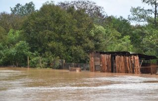 Las perdidas económicas que sufrió el agro tas e temporal en Misiones