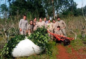 Alumnos del sexto año de la Epet 28 en San Pedro, fabricaron un carrito para facilitar las tareas de cosecha
