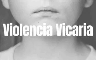 Piden que el Congreso trate la ley sobre violencia vicaria