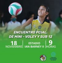Encuentro Provincial de Mini vóley y Sub12 