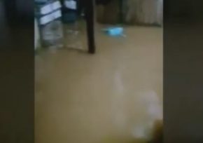 Varias viviendas se inundaros por las intensas lluvias en Candelaria