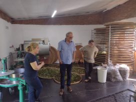 Productores del sector tealero  participaron del primer taller del Programa Potenciar Alimentos, para mejorar la competitividad de sus productos