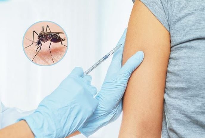 Llega a Misiones las primeras vacunas contra el dengue