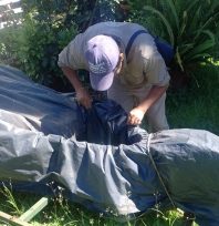 OBERÁ: Controles focales en el Marco del Plan de Lucha contra el Aedes aegypti