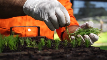 “Promovemos un INTA comprometido con la ruralidad misionera”