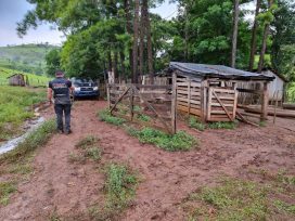 La Policía detuvo a tres hombres por un presunto homicidio en Montecarlo