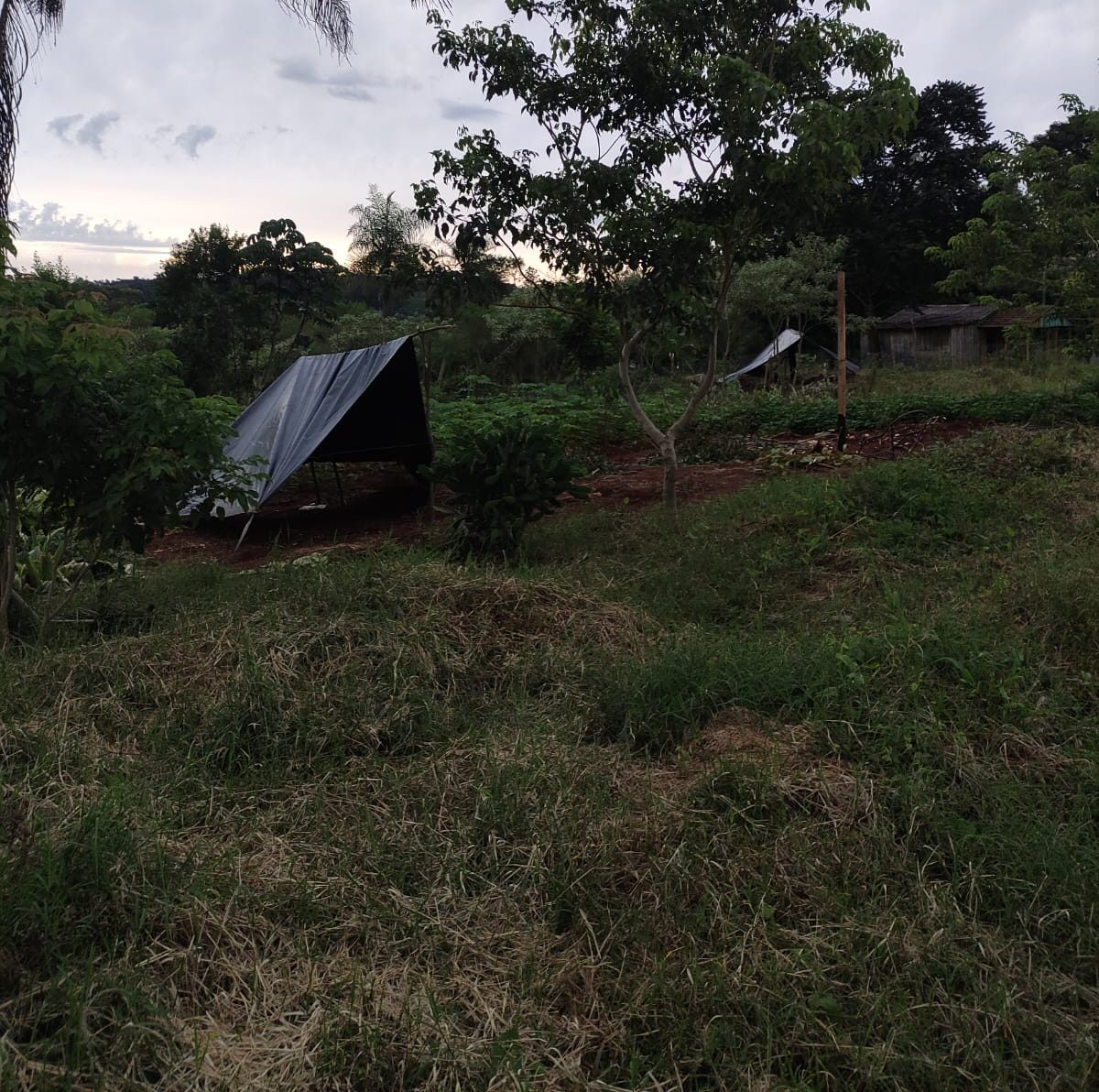 Prevención de Usurpación de espacios que son destinados a una plaza en Oberá