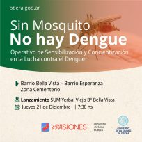 Sin mosquito, no hay Dengue 