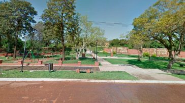 Corrientes: Un hombre murió en una plaza tras ser atacado por un enjambre de abejas