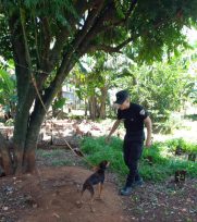 Resguardo animal: finalizó con la adopción de un perro por parte de la Policía