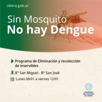 Sin Mosquito no hay Dengue 