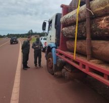 Ecología apoya a los proyectos que apuntan a la conservación y restauración del medio ambiente