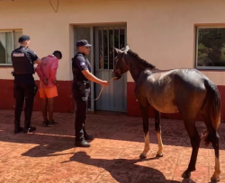 Fue detenido por robar el caballo de su vecino en Villa Bonita
