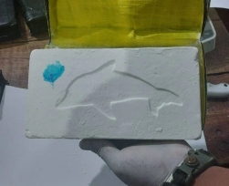 Gendarmería detuvieron a un hombre que transportaba 17 kilos de cocaína en Salta