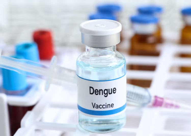 En Misiones se aplicará la segunda dosis de la vacuna contra el dengue a partir del 17 de abril