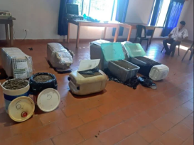 Gendarmería incauto 66 kilos de marihuana que eran enviados por encomienda a Buenos Aires