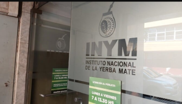 Desregulación yerbatera, la Justicia de Misiones suspendió un tramo del DNU