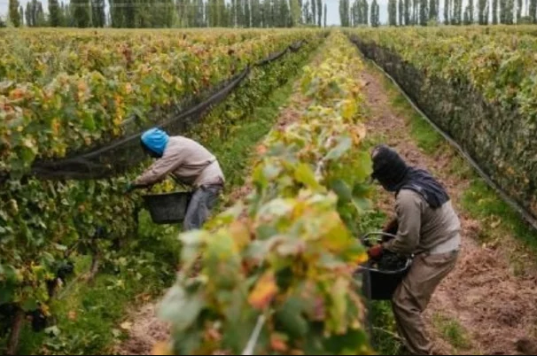 Cambios en la Ley Ómnibus, retenciones 0% para las economías regionales
