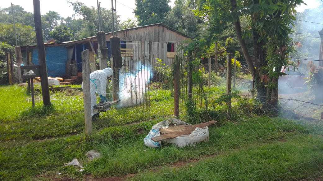 El Gobierno de la Ciudad de Oberá continúa con los operativos para eliminar criaderos de mosquitos