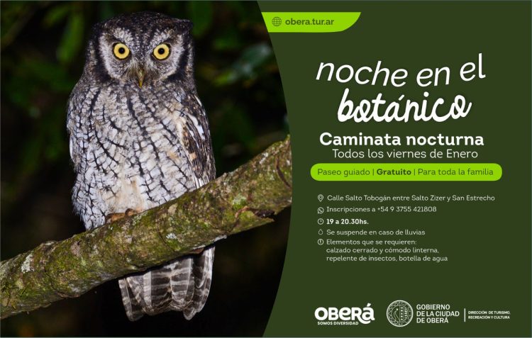 Viví la experiencia de «Una Noche en el Botánico»