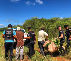 Un hombre fue detenido por robar 10 raídos de yerba a su vecino