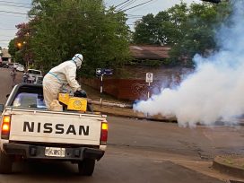 Acciones de prevención y control del Dengue en Oberá
