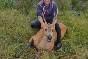 Un hombre mato a un ciervo en una reserva natural y después subió fotos a sus redes sociales