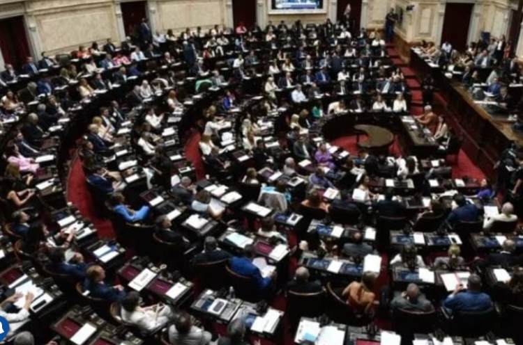 Los Diputados retoman hoy el tratamiento de la Ley Ómnibus