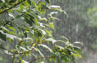Se vienen varios días de lluvias en Misiones, en Oberá bajo la temperatura mas de 10 grados