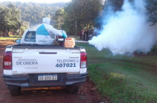 Aseguran que en Oberá la situación por aumentos de casos de dengue es preocupante